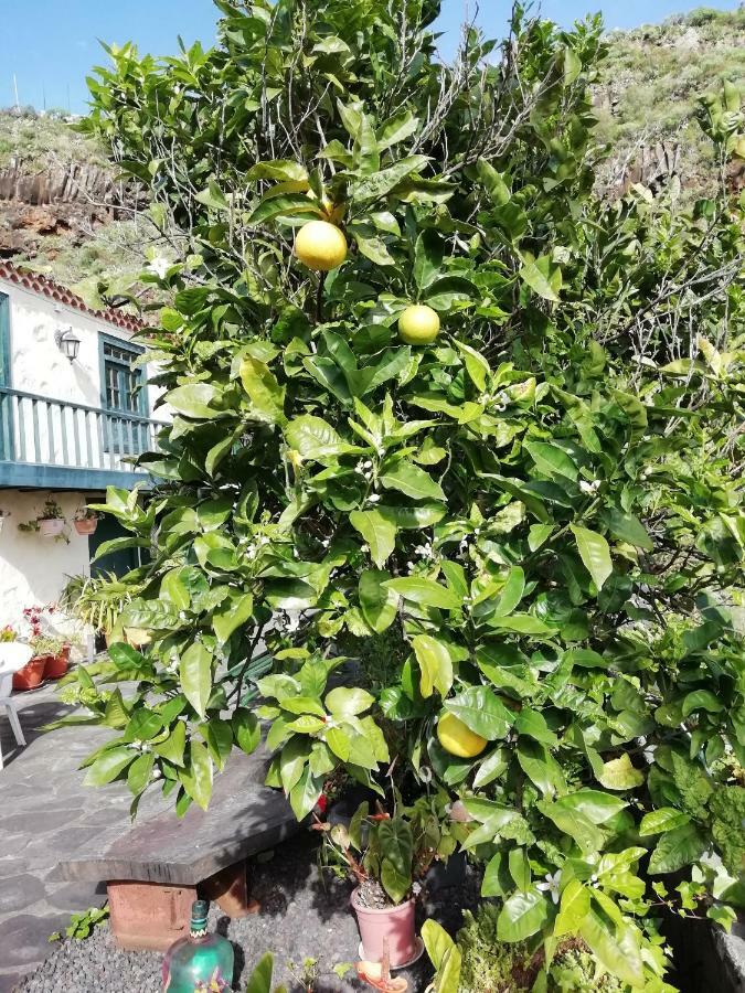 Grosse Finca 19Jh, Pool, Terrasse, Nahe Santa Cruz Санта-Круз-де-ла-Пальма Экстерьер фото