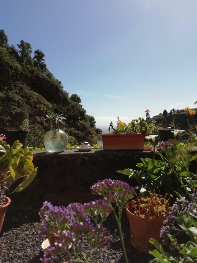 Grosse Finca 19Jh, Pool, Terrasse, Nahe Santa Cruz Санта-Круз-де-ла-Пальма Экстерьер фото